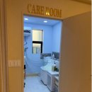 테일러퍼피 이미지