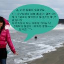 오로 이미지