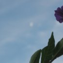 참어울림 이미지