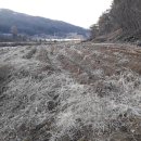 덕산면043 Daum카페