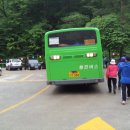 동진버스 Daum카페
