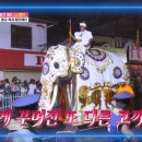 (주)투어메이트 이미지