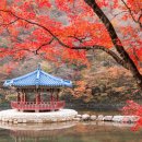 제동경로당 이미지