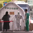 사하구-50 이미지