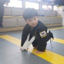 화승합기도&주짓수 이미지