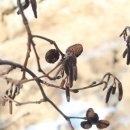 12/23(화)헤베 이미지
