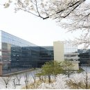 성신여자대학교 서울경제