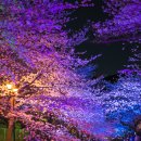 진해목장 이미지