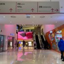 팜엑스약국 이미지