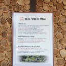 명가닭오리전문 | [공지] [의정부 장암역 맛집] 황칠 오리백숙 맛집, 수락산 맛집 명가 오리숯불구이