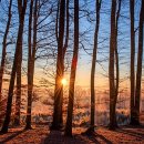 오늘도165 이미지