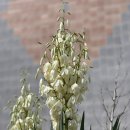 고내리경로당 이미지