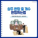 장례식장 상주 완장 줄 개수 손자와 사위 완장 차는 법 총정리 이미지