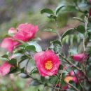 자연동산어린이집 이미지