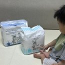 모모의여름 | 모모래빗 에코씽씽 에코드라이썸머 여름낮밤기저귀후기