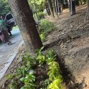 장현공원[장현-7] 이미지