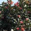 양재역 11번출구 옆 이미지