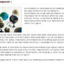 무릉도원면-10 이미지