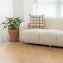 편한의료기 이미지