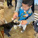 동선2목장 이미지