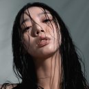 신소