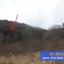 김삿갓면-10 이미지