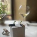 닭빠 | 이탈리아 피렌체 미슐랭 투스타 Ristorante Santa Elisabetta 후기