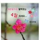 꽃피는봄 이미지