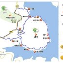 쌍용부광약국 이미지