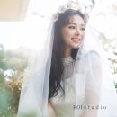 로이 이미지