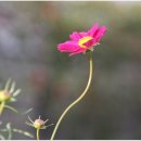 지아정원 이미지