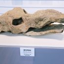 세계화석광물박물관 이미지