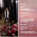 빈앤비노 | 포도향 향수, "르파써 빈앤비노" 리뷰 사용 후기
