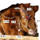 워낭 - 동작구 동작대로3길 20 | 워낭