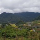 비나리마을 이미지