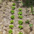 광주누가요양병원 이미지