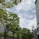 연세예본피부과의원 이미지