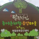 탐진사인마을 이미지