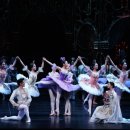 유니버설발레단 잠자는 숲속의 미녀 이미지