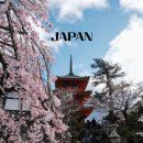 GS25 구로벚꽃점 | 2026 일본 벚꽃 개화시기 | 도쿄 교토 후쿠오카 언제 가야 만개?