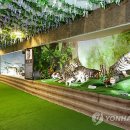 홍천애플비발디파크 이미지