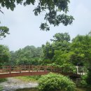 산림이랑행복 | 안양 가볼 만한 곳, 서울대학교 수목원 무료 산림치유 프로그램 예약 및 힐링 후기