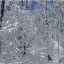 설악산 소공원 비선대의 눈꽃 축제 2 이미지