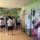 살레시오초등학교 이미지