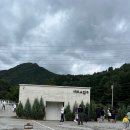 들꽃목장 | 만날 수 있는 가평 카페, 가평 핑크뮬리, 아이들과 가기 좋은 곳, 입장료 주차 정보 | 가평양떼목장