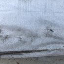 도래재로 이미지