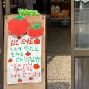 삶은 토마토