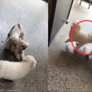 싸움의고수 이미지