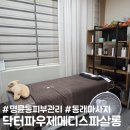 Gn메디 바디닥터 | [부산 동래] 명륜동피부관리 및 마사지 “닥터파우제메디스파살롱&#34; 에스테틱 추천
