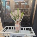 제피로스플라워